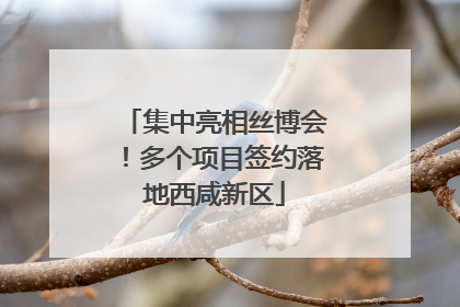 集中亮相丝博会！多个项目签约落地西咸新区
