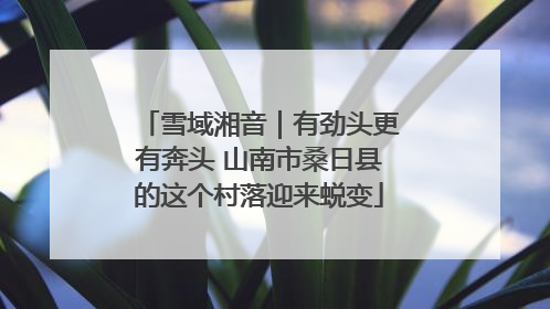 雪域湘音｜有劲头更有奔头 山南市桑日县的这个村落迎来蜕变