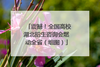 震撼！全国高校湖北招生咨询会燃动全省（组图）