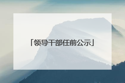 领导干部任前公示