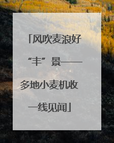 风吹麦浪好“丰”景——多地小麦机收一线见闻