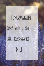 风沙里的冰与血：复盘《沙尘暴》