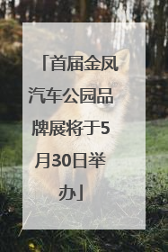 首届金凤汽车公园品牌展将于5月30日举办