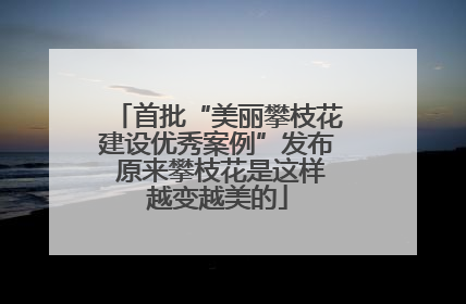 首批“美丽攀枝花建设优秀案例”发布 原来攀枝花是这样越变越美的