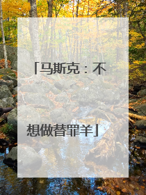 马斯克：不想做替罪羊