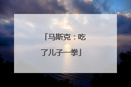 马斯克：吃了儿子一拳