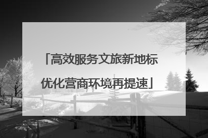 高效服务文旅新地标 优化营商环境再提速