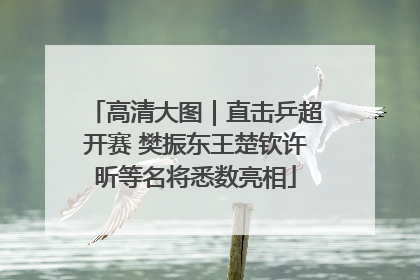 高清大图｜直击乒超开赛 樊振东王楚钦许昕等名将悉数亮相