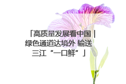 高质量发展看中国｜绿色通道达境外 输送三江“一口鲜”