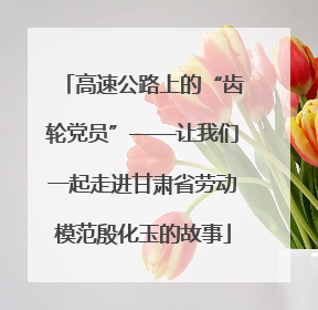 高速公路上的“齿轮党员”——让我们一起走进甘肃省劳动模范殷化玉的故事