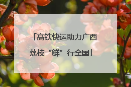 高铁快运助力广西荔枝“鲜”行全国