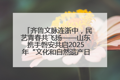 齐鲁文脉连浙中，民艺青春共飞扬——山东携手磐安共启2025年“文化和自然遗产日”系列活动