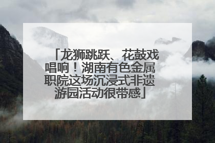 龙狮跳跃、花鼓戏唱响！湖南有色金属职院这场沉浸式非遗游园活动很带感