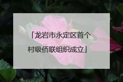龙岩市永定区首个村级侨联组织成立