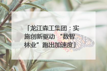 龙江森工集团：实施创新驱动 “数智林业”跑出加速度