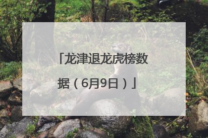 龙津退龙虎榜数据（6月9日）