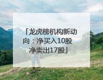 龙虎榜机构新动向：净买入10股 净卖出17股