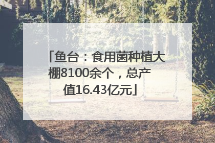 鱼台：食用菌种植大棚8100余个，总产值16.43亿元