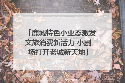 鹿城特色小业态激发文旅消费新活力 小剧场打开老城新天地