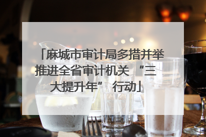 麻城市审计局多措并举推进全省审计机关 “三大提升年” 行动