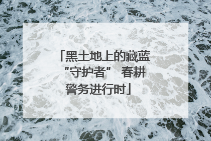 黑土地上的藏蓝“守护者” 春耕警务进行时