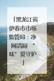 黑龙江省伊春市市场监管局：净网清厨 “味”爱守护