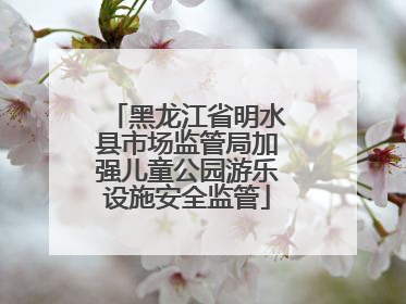 黑龙江省明水县市场监管局加强儿童公园游乐设施安全监管