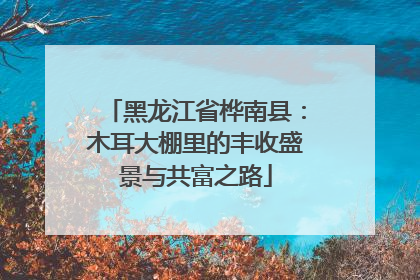 黑龙江省桦南县：木耳大棚里的丰收盛景与共富之路