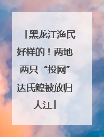 黑龙江渔民好样的！两地两只“投网”达氏鳇被放归大江