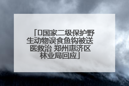 ﻿国家二级保护野生动物误食鱼钩被送医救治 郑州惠济区林业局回应