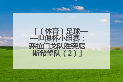 （体育）足球——世俱杯小组赛：弗拉门戈队胜突尼斯希望队（2）