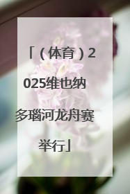 （体育）2025维也纳多瑙河龙舟赛举行
