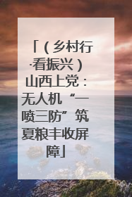 （乡村行·看振兴）山西上党：无人机“一喷三防”筑夏粮丰收屏障