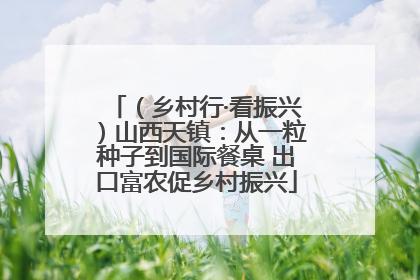 （乡村行·看振兴）山西天镇：从一粒种子到国际餐桌 出口富农促乡村振兴