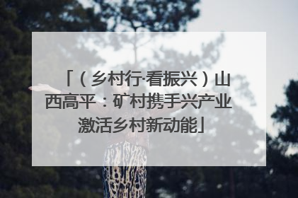 （乡村行·看振兴）山西高平：矿村携手兴产业 激活乡村新动能