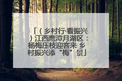 （乡村行·看振兴）江西鹰潭月湖区：杨梅压枝迎客来 乡村振兴添“梅”景