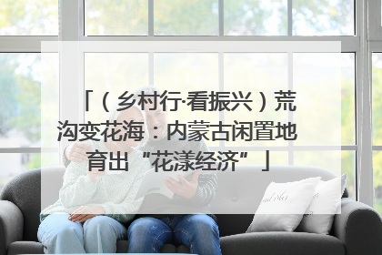（乡村行·看振兴）荒沟变花海：内蒙古闲置地育出“花漾经济”