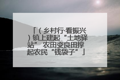 （乡村行·看振兴）镇上建起“土地驿站” 农田变良田撑起农民“钱袋子”