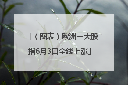 （图表）欧洲三大股指6月3日全线上涨