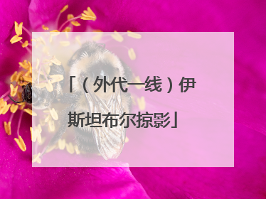 （外代一线）伊斯坦布尔掠影