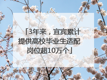 3年来，宜宾累计提供高校毕业生适配岗位超10万个