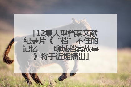 12集大型档案文献纪录片《“档”不住的记忆——聊城档案故事》将于近期播出