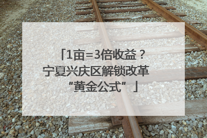 1亩=3倍收益？宁夏兴庆区解锁改革“黄金公式”