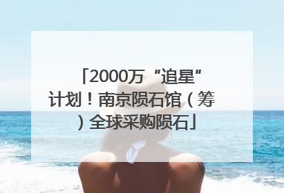 2000万“追星”计划！南京陨石馆（筹）全球采购陨石