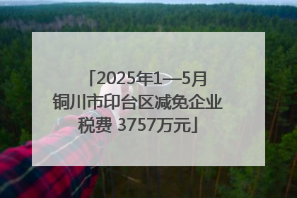 2025年1—5月铜川市印台区减免企业税费 3757万元
