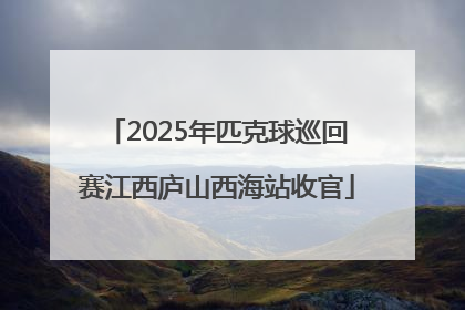2025年匹克球巡回赛江西庐山西海站收官