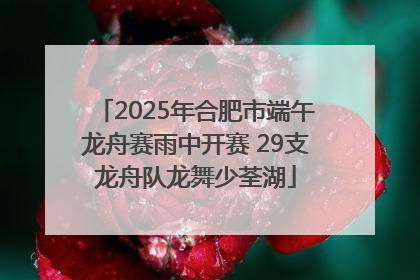 2025年合肥市端午龙舟赛雨中开赛 29支龙舟队龙舞少荃湖
