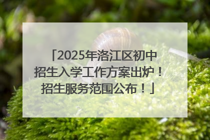 2025年洛江区初中招生入学工作方案出炉！招生服务范围公布！
