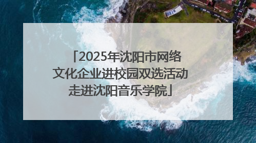 2025年沈阳市网络文化企业进校园双选活动走进沈阳音乐学院