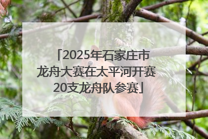 2025年石家庄市龙舟大赛在太平河开赛 20支龙舟队参赛
